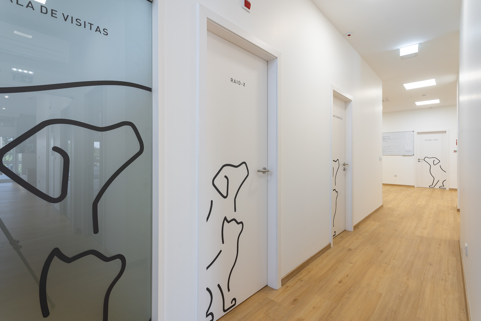 Clínica Veterinária em Oliveira de Azeméis - Instalações